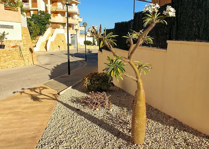 Casa Cerezos